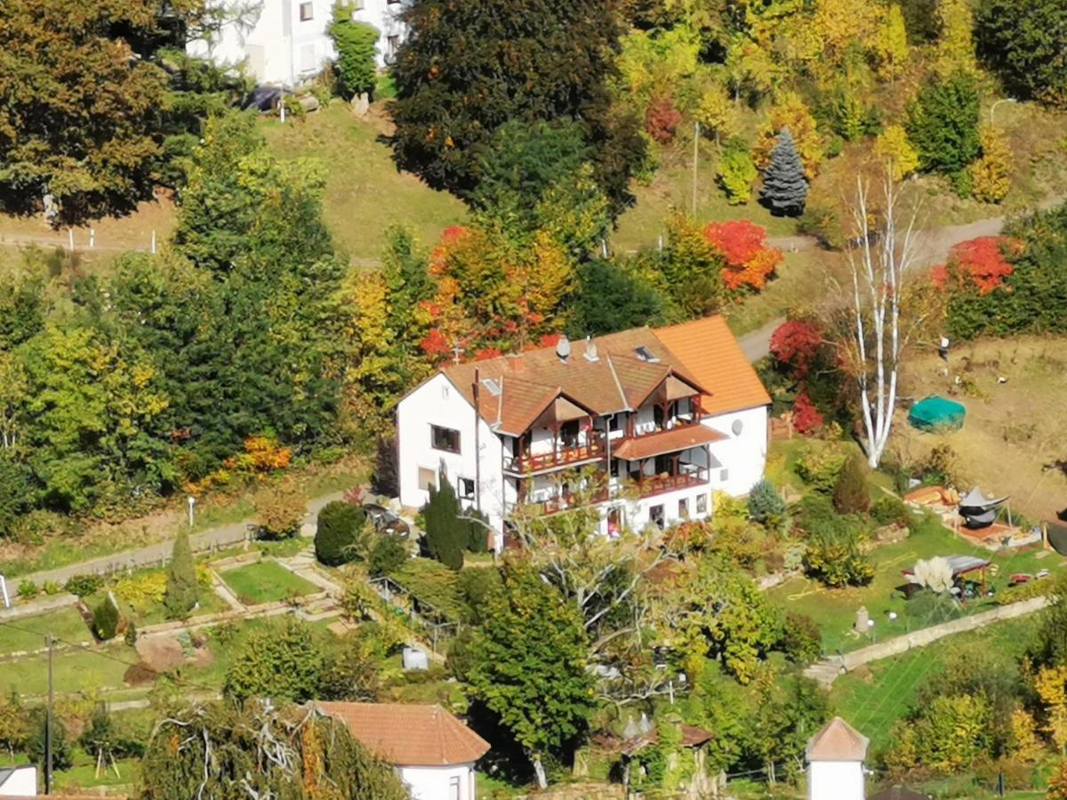 Haus Katz Διαμέρισμα Schönau Εξωτερικό φωτογραφία